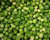 Sélection optimale des légumes à planter selon la saison