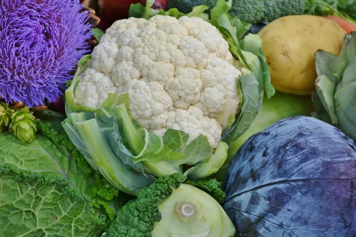 saisons légumes