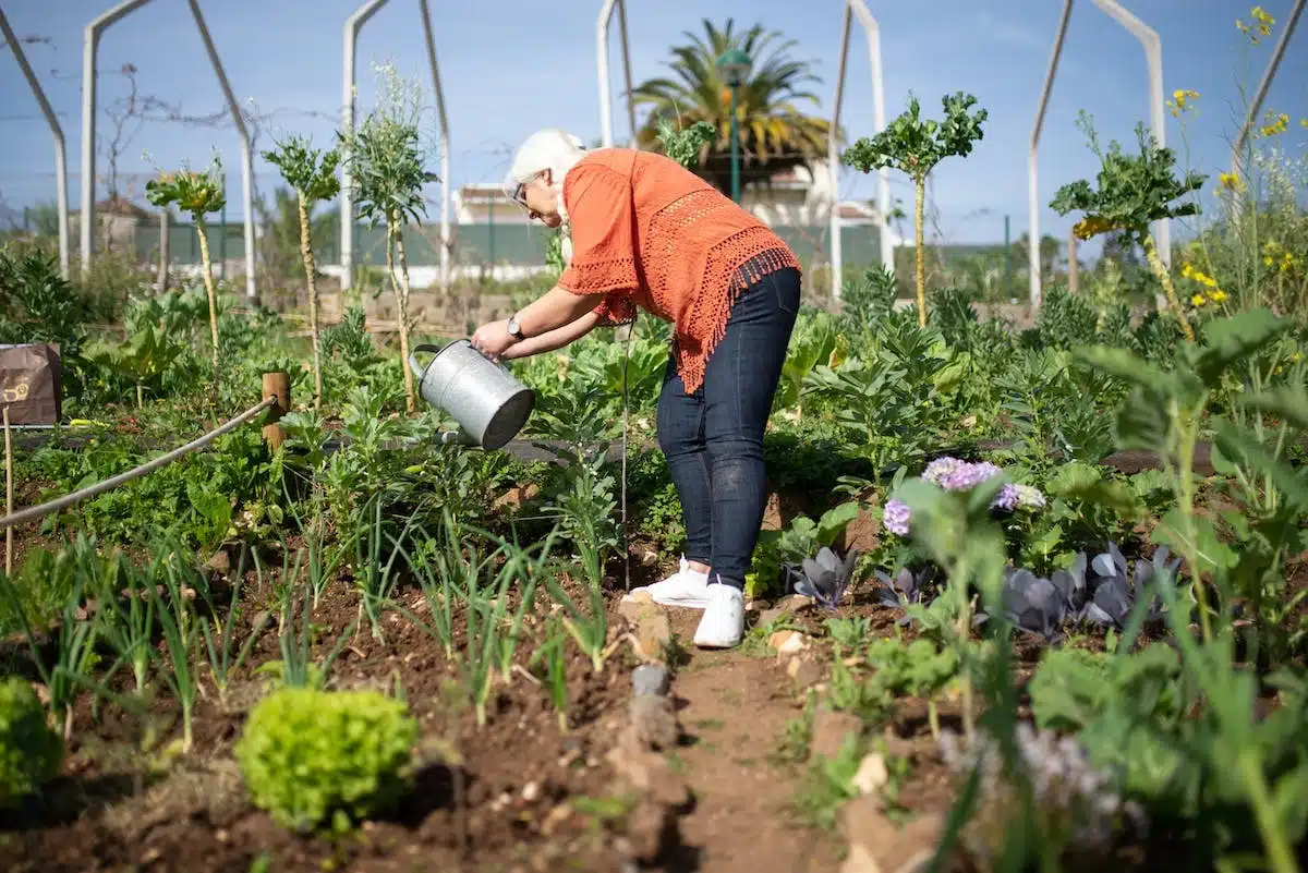 jardin résistant