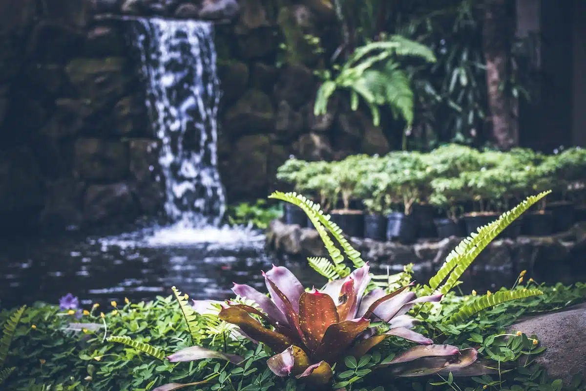 jardin méditerranéen