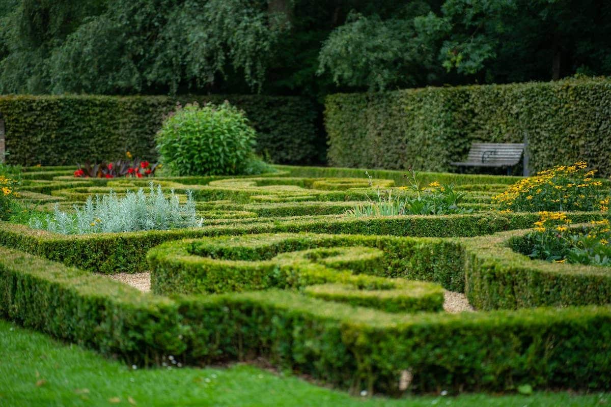 haie jardin