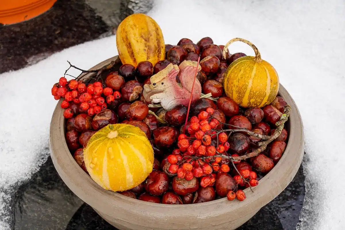 légumes automne