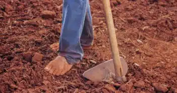 Les étapes essentielles pour préparer votre potager avant la saison de la plantation
