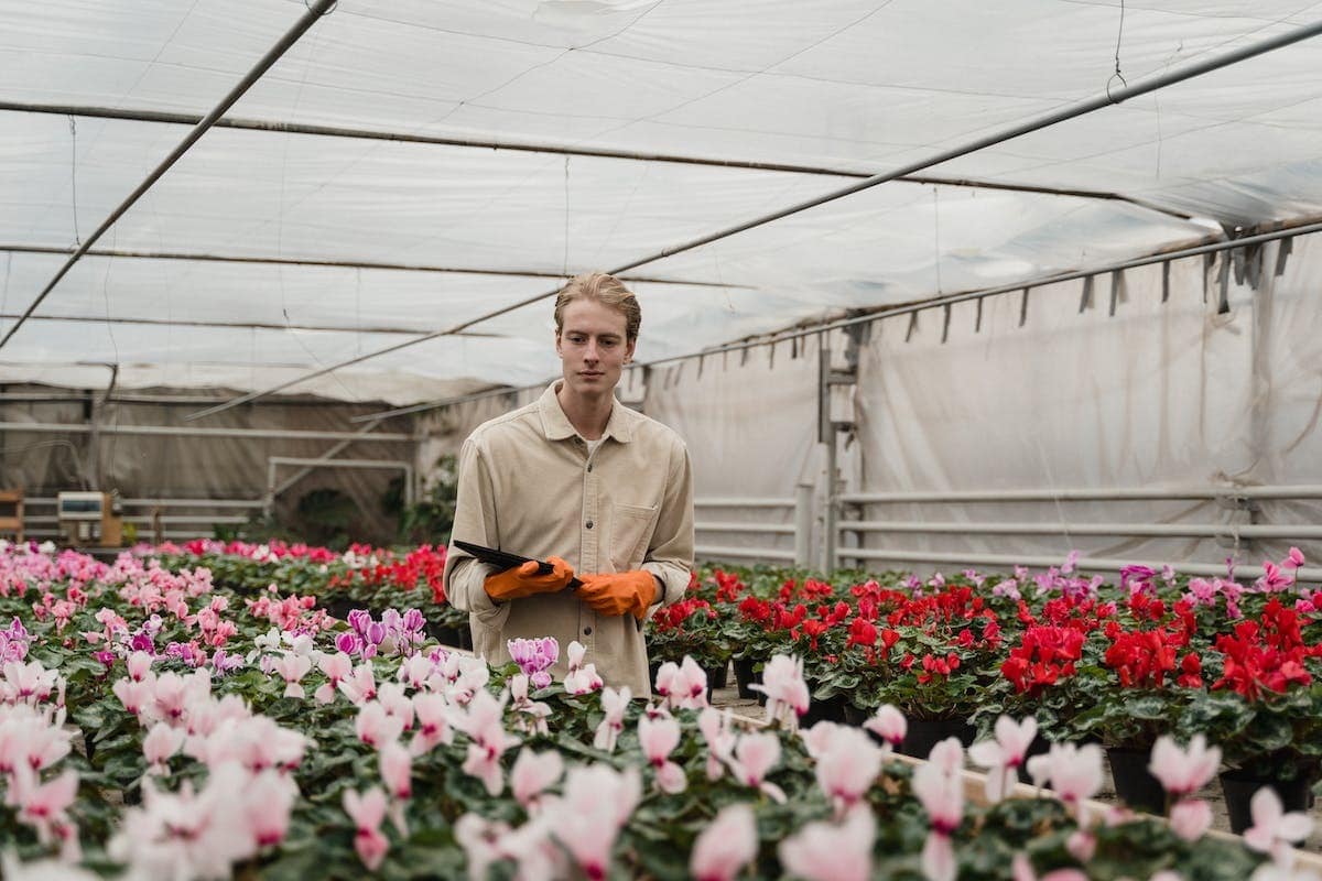 cultiver fleurs