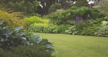 Choisir le meilleur gazon pour votre jardin en fonction de votre climat