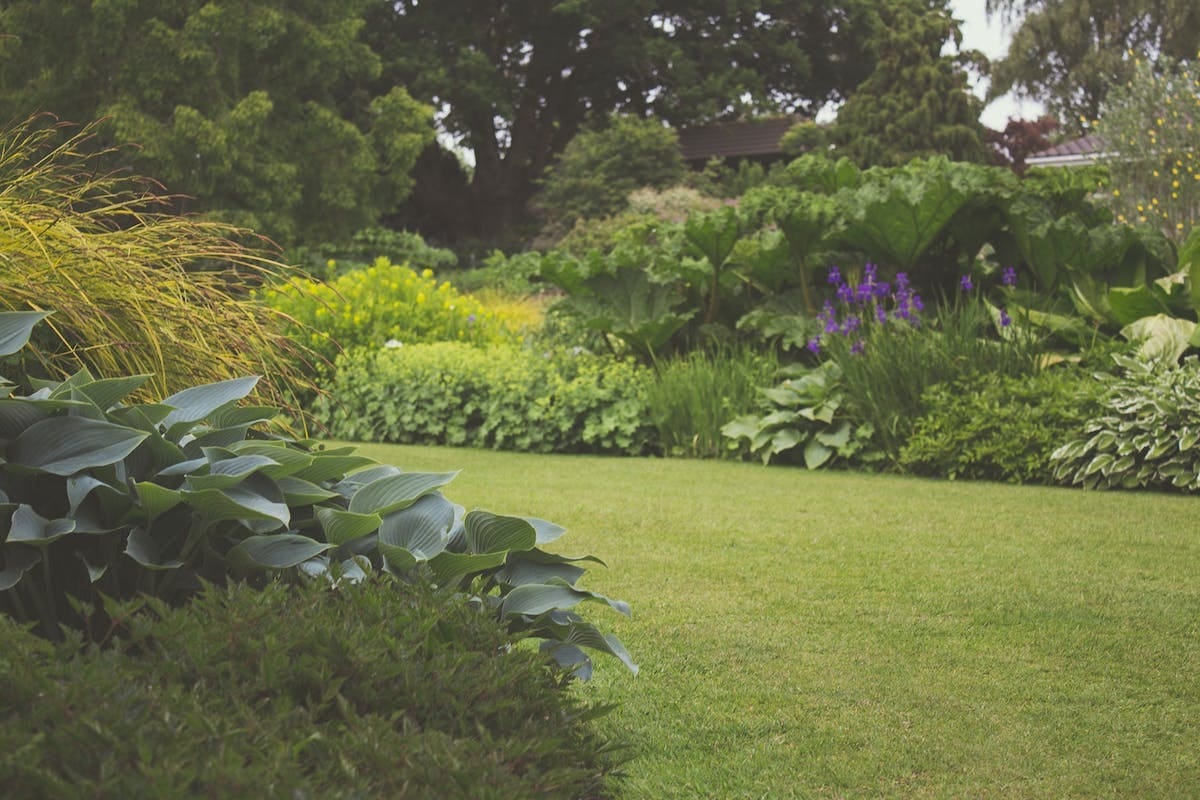 aménagement jardin