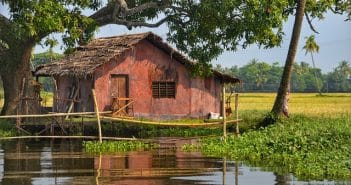 Quelle distance entre un arbre et une maison ?