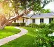 arbre et maison