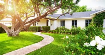 arbre et maison