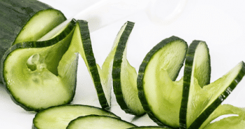 Comment planter des plants de concombre ?