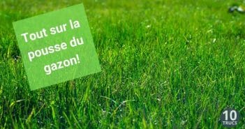 Comment accelerer pousse gazon ?
