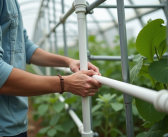 Serre : choisir le bon tube PVC pour une fabrication réussie