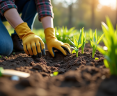 Préparer le jardin : période idéale pour un jardin florissant !