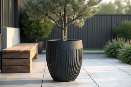 Grand pot de fleur extérieur en résine anthracite de 100 cm avec olivier sur terrasse en béton moderne