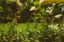 Les meilleures décorations de bordure de jardin pour l'hiver