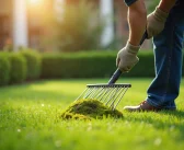 Enlever la mousse : meilleure période pour un jardin sain et verdoyant