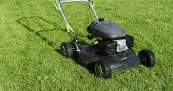 black and yellow push lawn mower on green grass during daytime