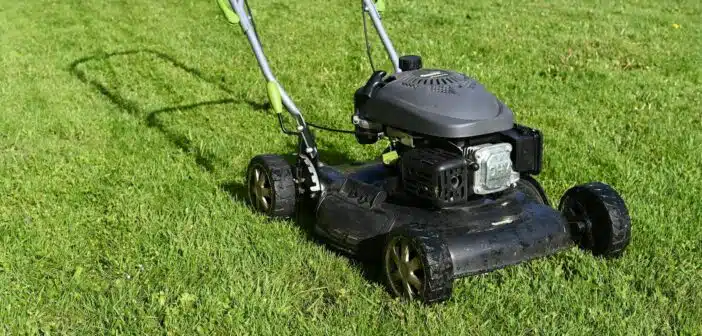 black and yellow push lawn mower on green grass during daytime